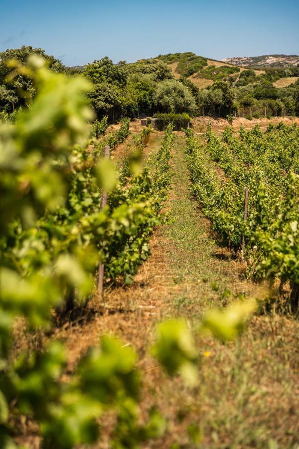 Locanda In Vigna アルツァケーナ エクステリア 写真